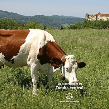 La Roche du Trésor - Espace Loisirs Découverte - ORCHAMPS-VENNES