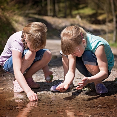 Classe verte dans les Montagnes du Jura