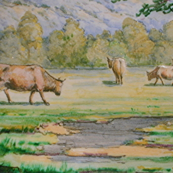 Les animaux dans les salles Beaux-Arts - CLAMECY