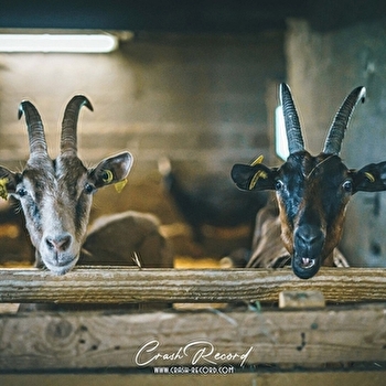 SCEA La Ferme de la Petite Forêt - CUISEAUX